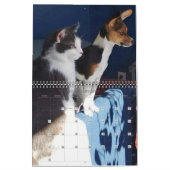 Calendrier personnalisé de nos chats (Feb 2027)