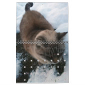 Calendrier personnalisé de nos chats (Jan 2027)