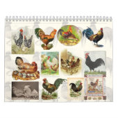 Calendrier personnalisé de poulet vintage (Protection)