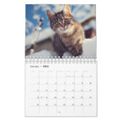 Calendrier personnalisé des photos de chats (Jan 2026)