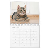 Calendrier personnalisé des photos de chats (Mar 2026)