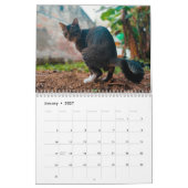 Calendrier Personnalisé Drôles de Chats qui Défèqu (Jan 2027)