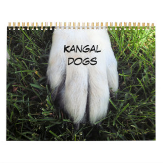 Calendrier personnalisé imprimé