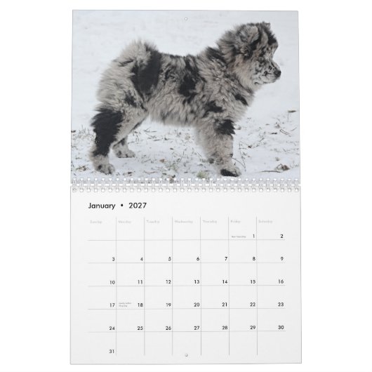 Calendrier personnalisé Sophia 2015 (Jan 2027)