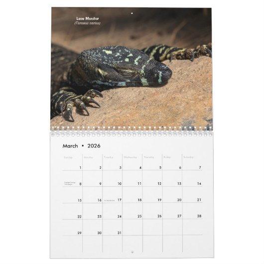 Calendrier Pet Lizards (Mar 2026)