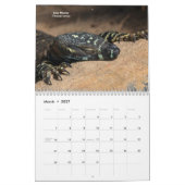Calendrier Pet Lizards (Mar 2027)