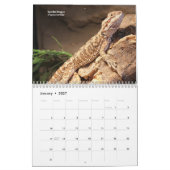 Calendrier Pet Lizards (Jan 2027)