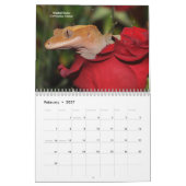 Calendrier Pet Lizards (Feb 2027)