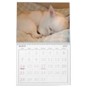 Calendrier Petal-Anne (Mar 2027)