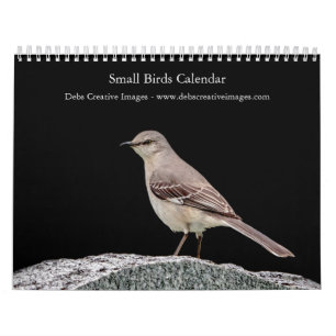 Calendrier Petit oiseau (oiseaux chanteurs) 2026