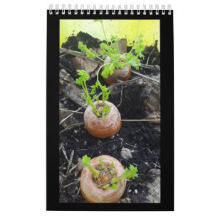 Calendrier Petite page du jardinier, en blanc