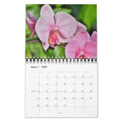 Calendrier Petite Taille Orchidées (Mar 2027)