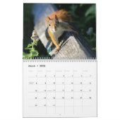 Calendrier Petites créatures sauvages (Mar 2026)
