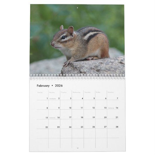 Calendrier Petites créatures sauvages (Feb 2026)