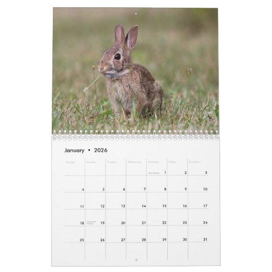 Calendrier Petites créatures sauvages (Jan 2026)