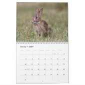 Calendrier Petites créatures sauvages (Jan 2027)