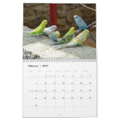 Calendrier Petits boucs - instantanés des petits oiseaux (Feb 2027)