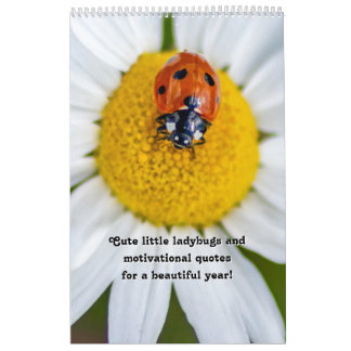 Calendrier Petits coccinelles et citations de motivation