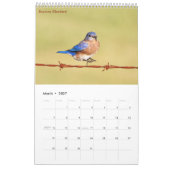 Calendrier Petits oiseaux 2026 (Mar 2027)