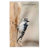 Calendrier Petits oiseaux 2026 (Protection)