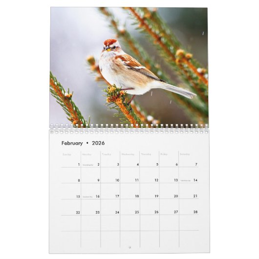 Calendrier Petits oiseaux 2026 (Feb 2026)