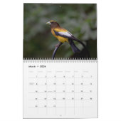 Calendrier Petits oiseaux 2026 (Mar 2026)
