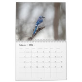 Calendrier Petits oiseaux 2026 (Feb 2026)