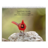 Calendrier Petits oiseaux 2026 (Protection)