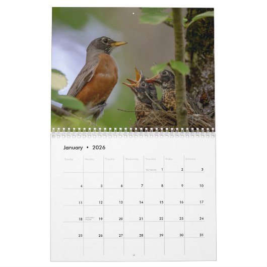 Calendrier Petits oiseaux 2026 (Jan 2026)