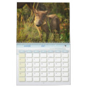 Calendrier Phacochère Calendar Warthog (Jan 2027)