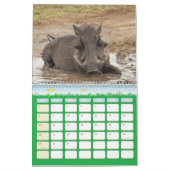 Calendrier Phacochère Calendar Warthog (Mar 2027)