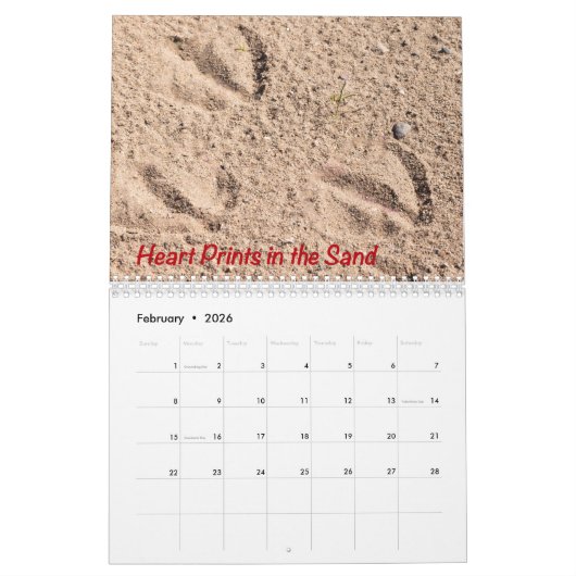 Calendrier photo (Feb 2026)