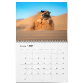 Calendrier Photo 2019 de Pugventure : Expugdition (Jan 2027)