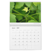 Calendrier photo 2021 d'Amy (Mar 2027)