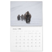 Calendrier photo 2021 du Montana et du parc nation (Jan 2026)