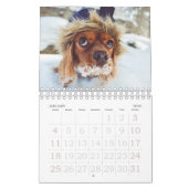 Calendrier Photo 2021 Puppy Dog Pet (Jan 2026)