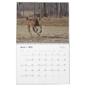 Calendrier photo 2023 Equine II (Mar 2027)