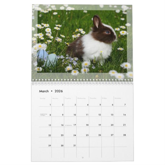 Calendrier photo 2024 : Fourrure Bébés, Animaux do (Mar 2026)