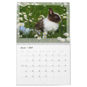 Calendrier photo 2024 : Fourrure Bébés, Animaux do (Mar 2027)