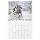 Calendrier photo 2024 : Fourrure Bébés, Animaux do (Jan 2027)