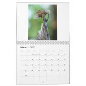 Calendrier photo 2025 de la faune (Feb 2027)