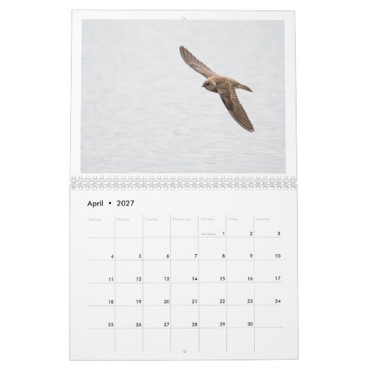 Calendrier photo 2025 de la faune (Apr 2027)