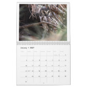 Calendrier photo 2025 de la faune (Jan 2027)