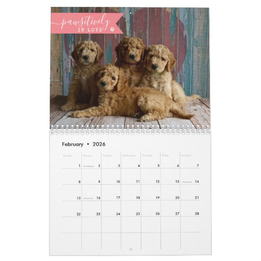 Calendrier Photo 2025 Personnalisée Chien 1 Image Par Mois Cu (Feb 2026)