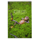 Calendrier photo Acorn Elves / Dubanci (Protection)