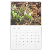 Calendrier photo Acorn Elves / Dubanci (Mar 2026)