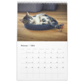 Calendrier photo Acorn Elves / Dubanci (Feb 2026)