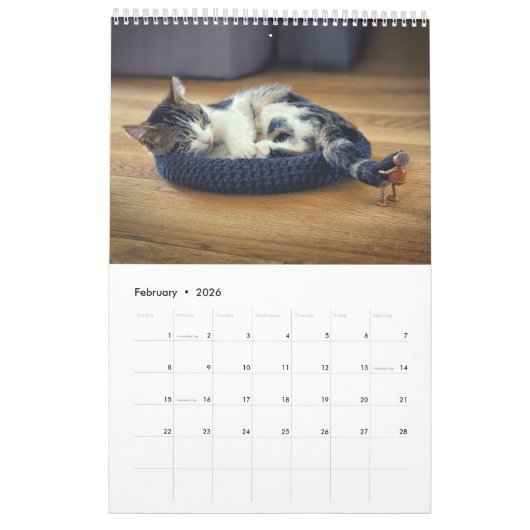 Calendrier photo Acorn Elves / Dubanci (Feb 2026)
