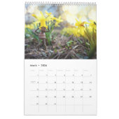 Calendrier photo Acorn Elves / Dubanci (Mar 2026)