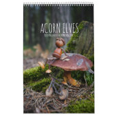 Calendrier photo Acorn Elves / Dubanci (Protection)